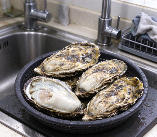 Fresh raw oysters in the shell, arranged in a bowl