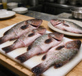Fresh whole grouper cut into thick sections on a white board