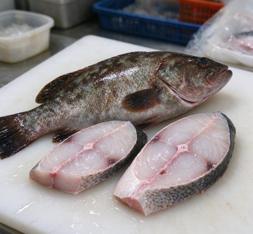 Fresh whole grouper cut into thick sections on a white board (2)
