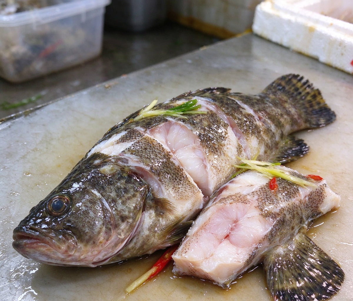 Fresh whole grouper cut into thick sections on a white board (3)